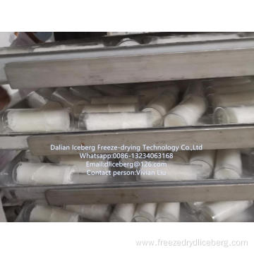 Freeze-drying Cubilose freeze dryer.